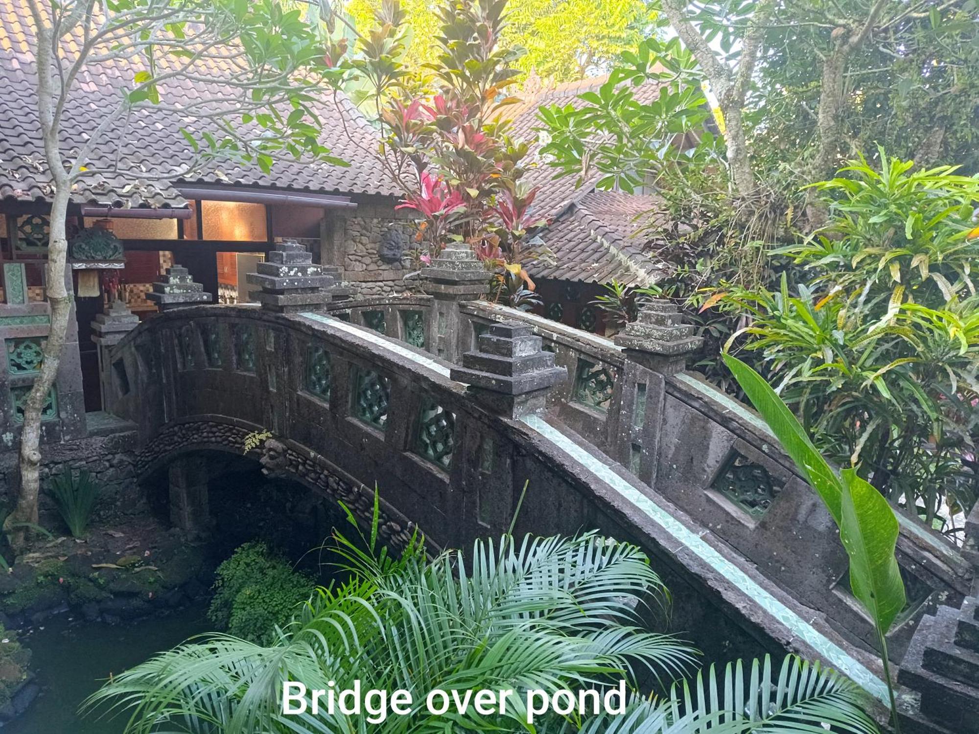 Guci Guesthouses Ubud Kültér fotó