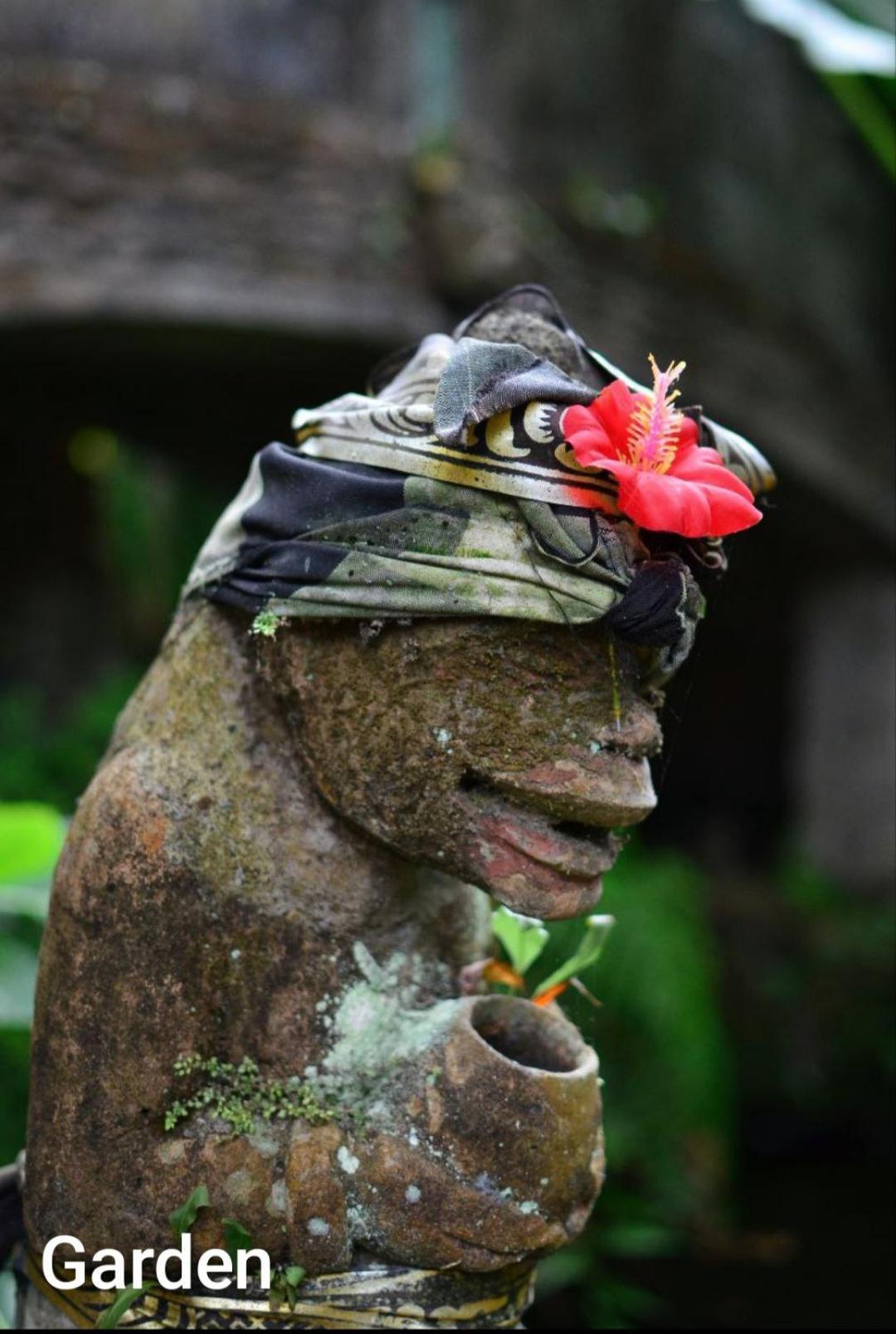 Guci Guesthouses Ubud Kültér fotó